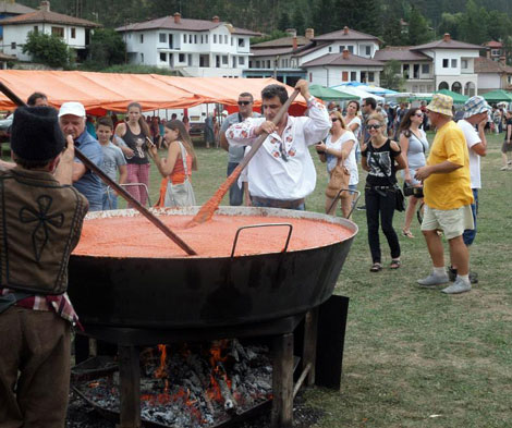 лютеница-копривщица-2015-1