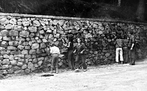 Барикадите-садене-на-здравец