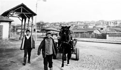 С-каруцата-за-вторични-суровини