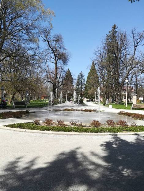 30594242_356075814900803_971071180544933888_n