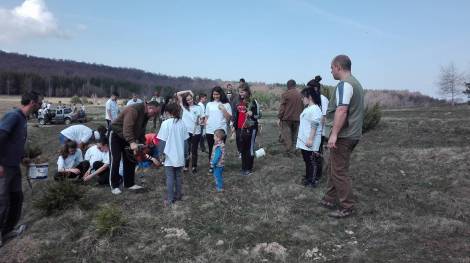 залесяване 2