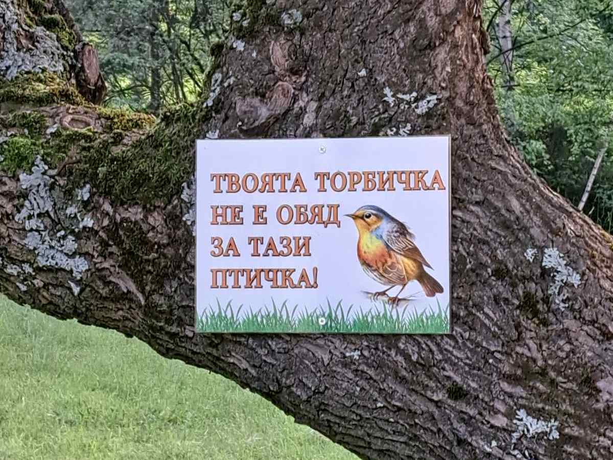 Закачливи табели напомнят да се пази чистота в Панагюрски колонии