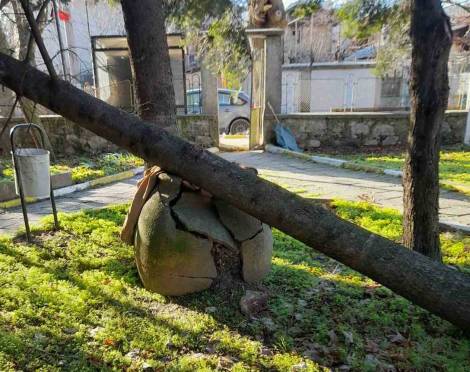 Ураганен вятър повали дървета и прекъсна тока в населени места в община Панагюрище
